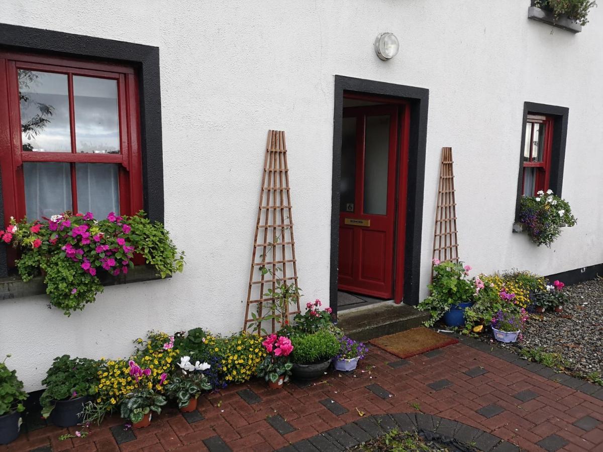 Hotel Nellys Bed And Bikes Westport Zewnętrze zdjęcie